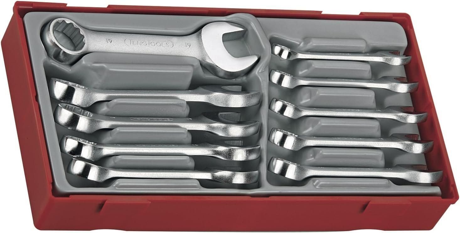 Teng Tools 10 Piece Metric Stubby Combination Wrench Set 10mm - 19mm - TT6010M, Silver