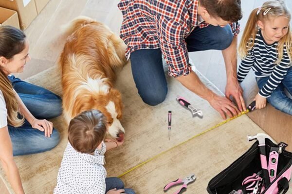 HomeTool Haven: Expert Picks for Every Household