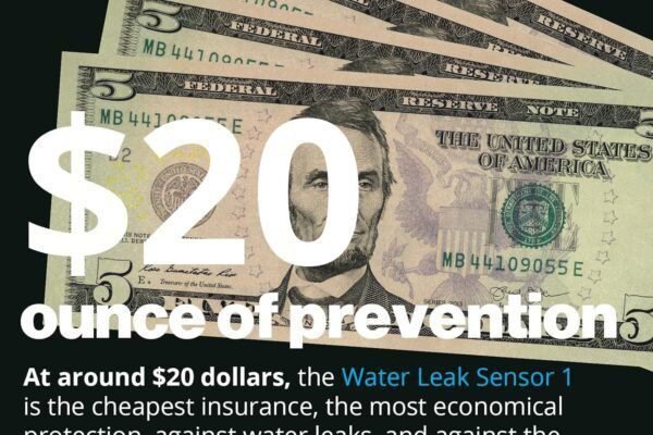 HomeTool Haven: Expert Picks for Every Household